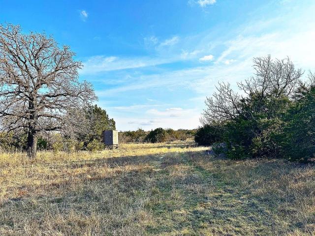 Land for sale in Mingus, Texas