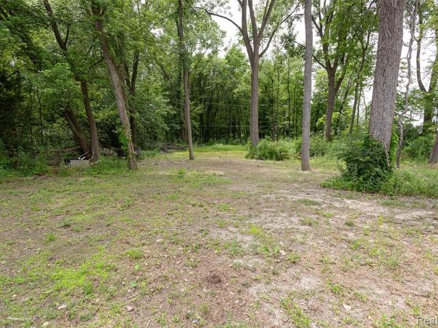 Land for sale in Romulus