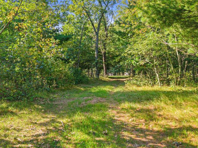 Land for sale in Nekoosa, Wisconsin