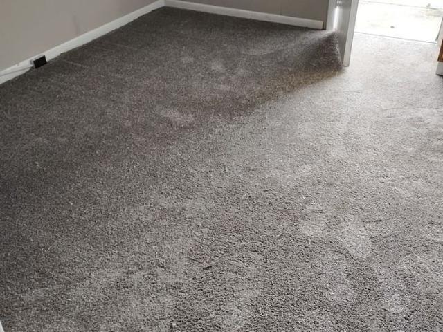 Apartment for rent in Tippecanoe, Indiana