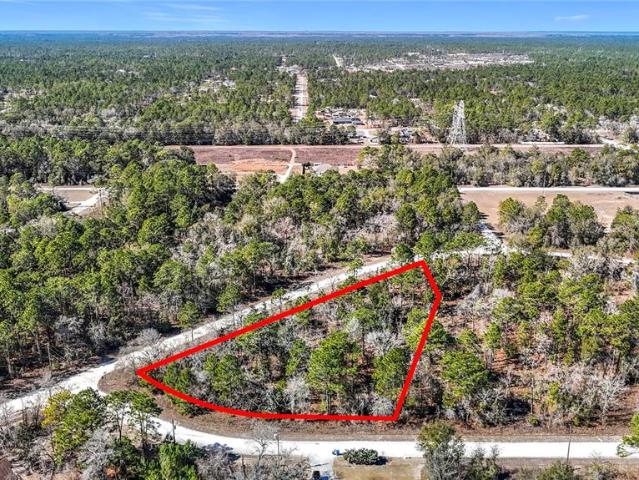 Land for sale in Florida