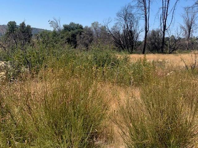 Land for sale in Clearlake, Lake County