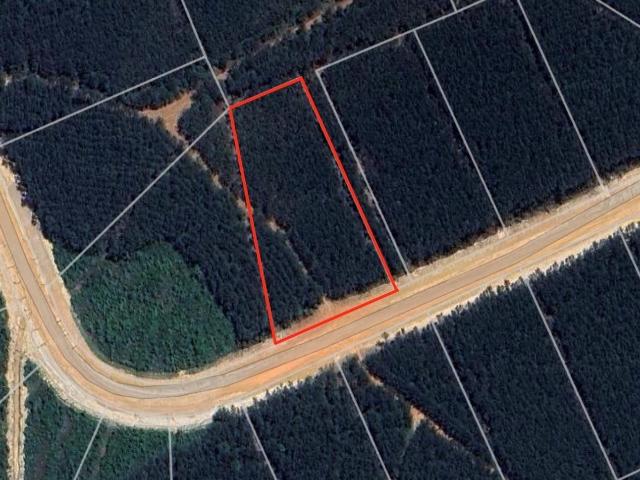 Land for sale in Willis, Texas
