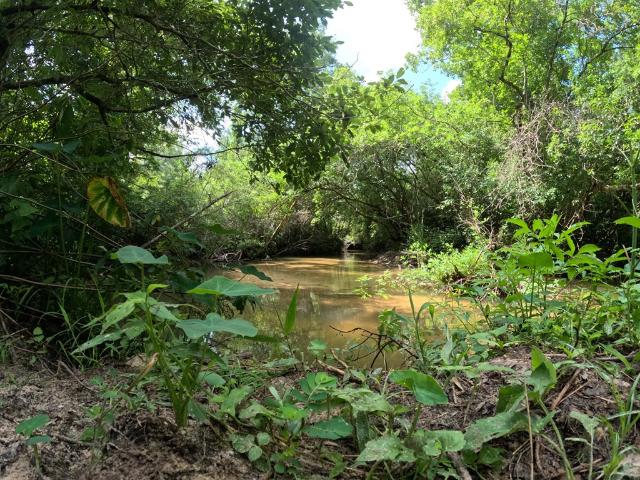 House for sale in Mississippi