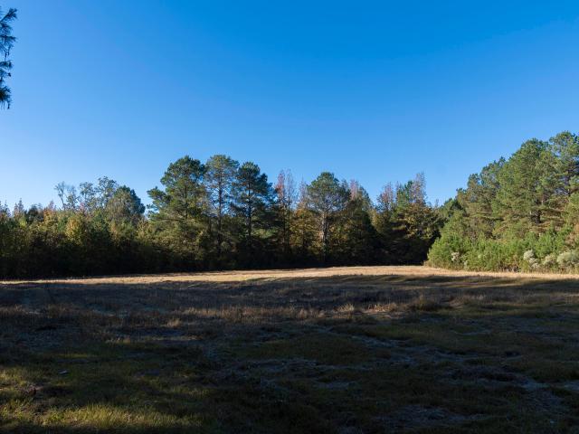 Land for sale in West, Mississippi