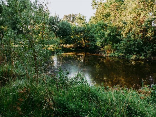 House for sale in Wells, Texas