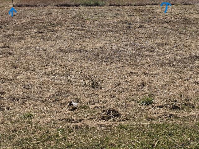 Land for sale in Calhoun, Texas