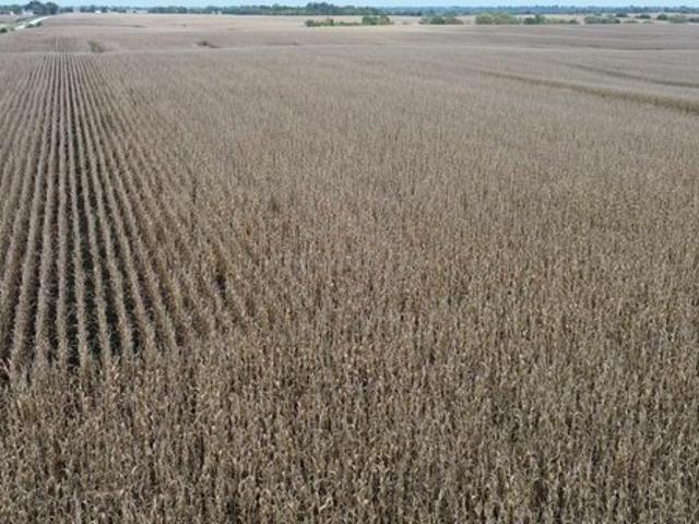 Farm for sale in Chariton, Iowa