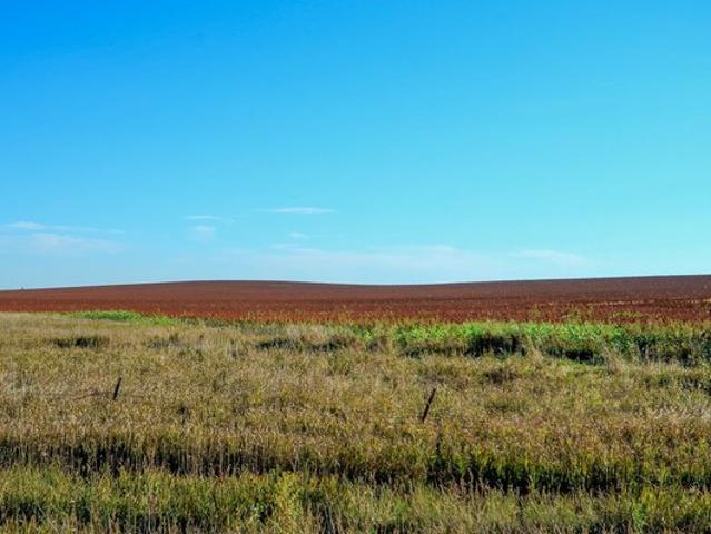 Farm for sale in Lyman, South Dakota