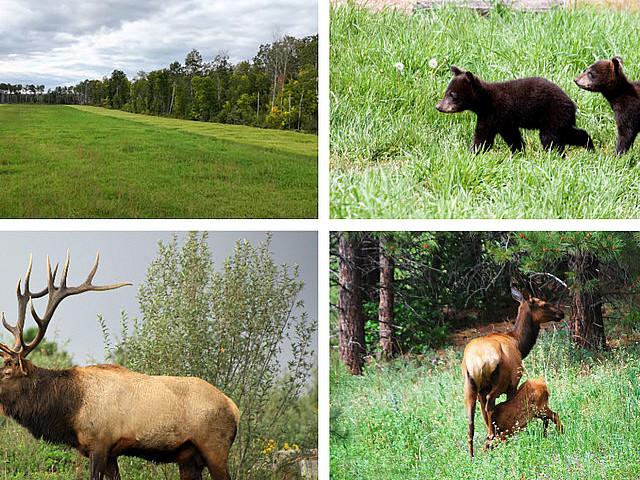 Land for sale in Dauphin, Manitoba
