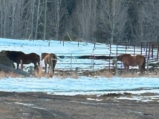 Land for sale in Alberta