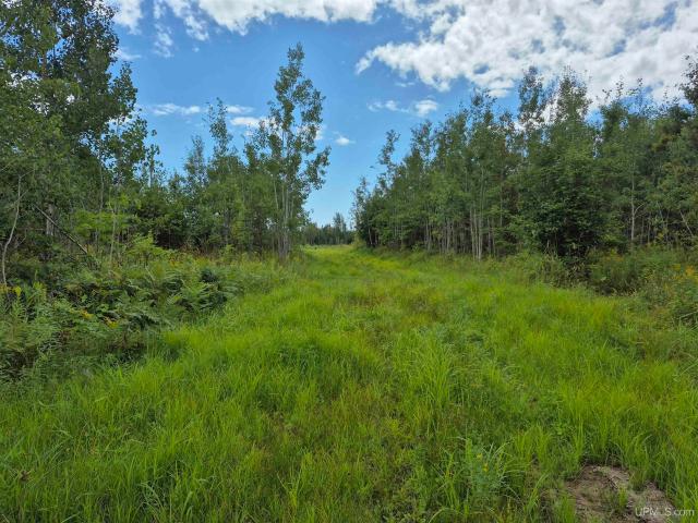 Land for sale in Michigan