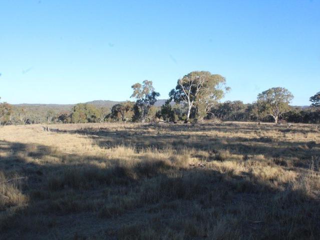 Land for sale in Dalveen, Queensland