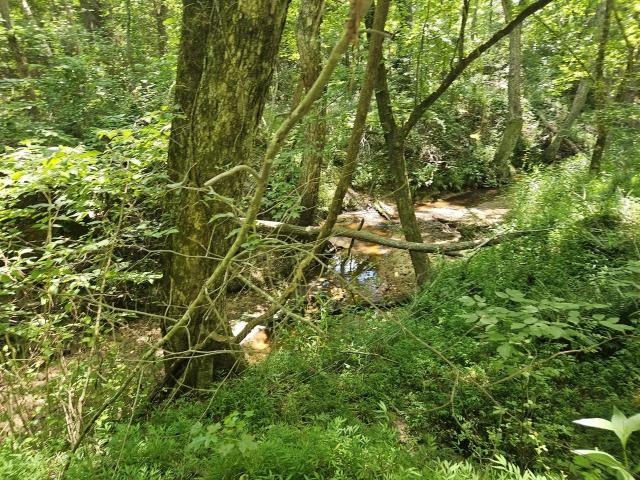 Land for sale in Tennessee