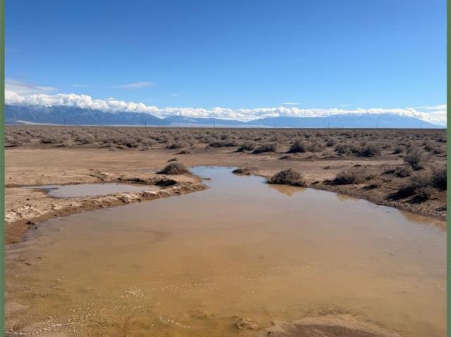 Land for sale in Moffat, Colorado