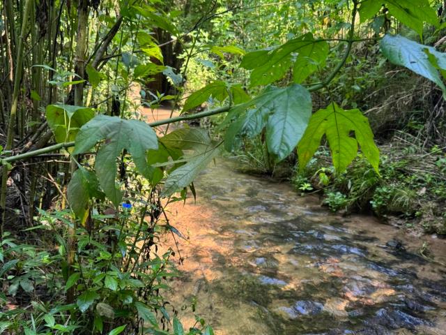 Farm for sale in Dentville, East Tennessee