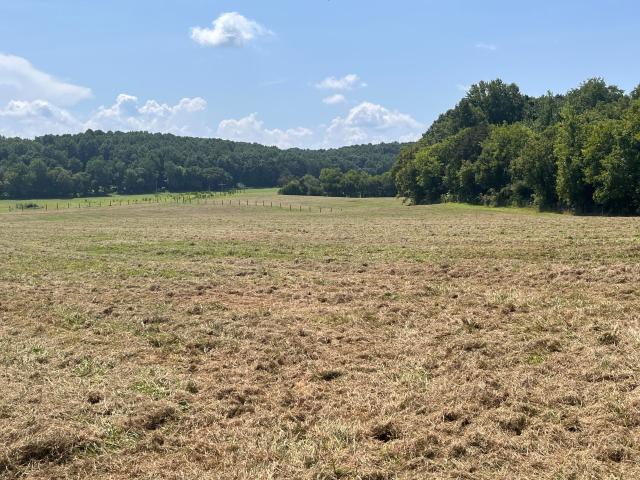 Land for sale in Tennessee