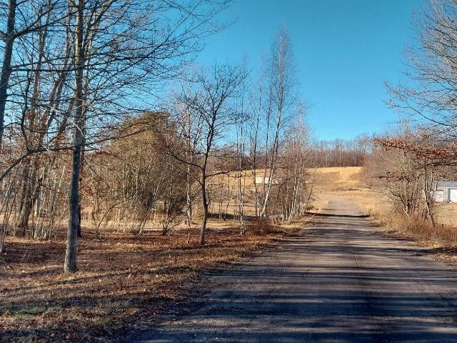Land for sale in Oneida, Pennsylvania
