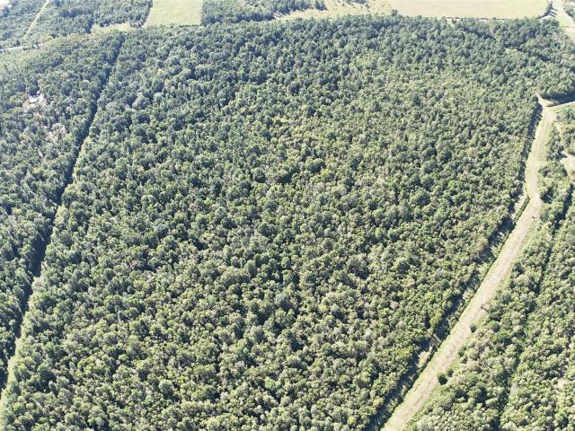 Land for sale in Liberty, Texas