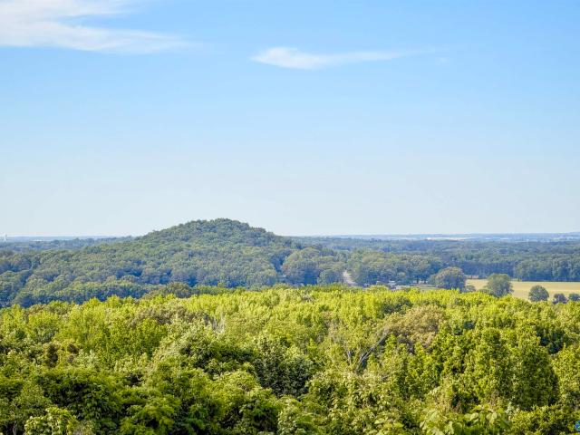 House for sale in Somerville, Alabama