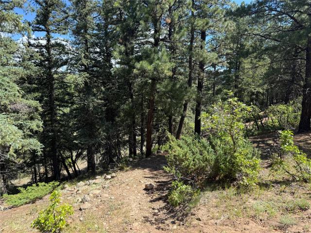 House for sale in Chama, New Mexico
