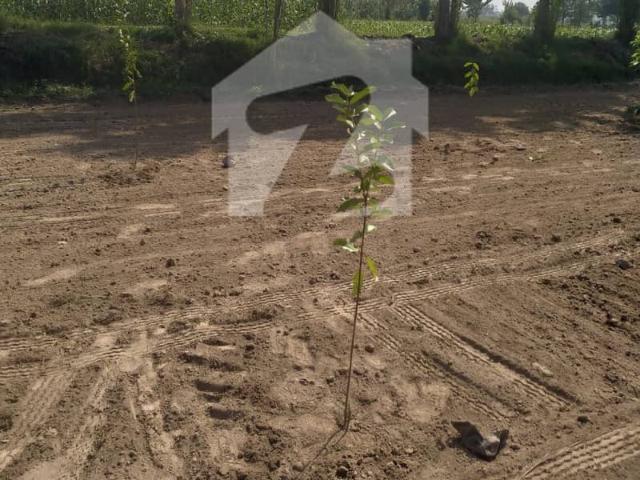Land for sale in Kasur, Islamabad Capital Territory