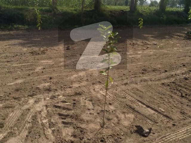 Land for sale in Kasur, Islamabad Capital Territory