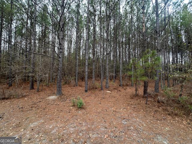 Land for sale in Screven, Georgia