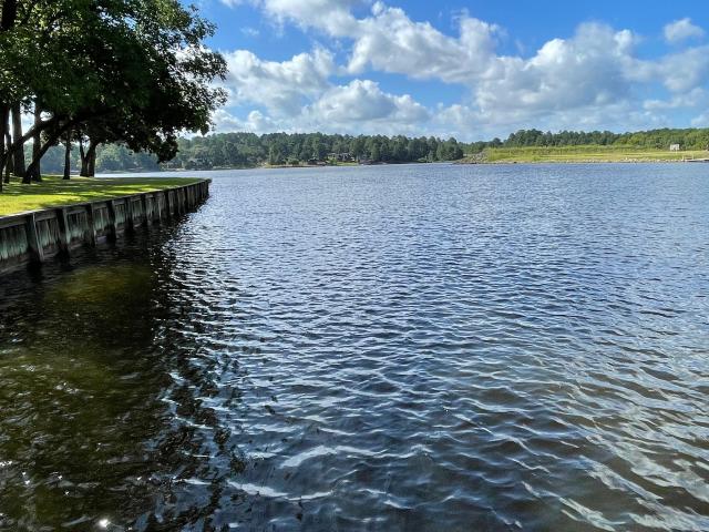 House for sale in Grapeland, Houston County