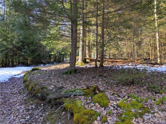 Land for sale in Chalk Hill, Pennsylvania