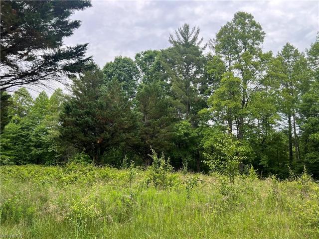 Land for sale in Mount Airy, North Carolina