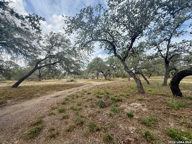 Land for sale in Poteet, Atascosa County