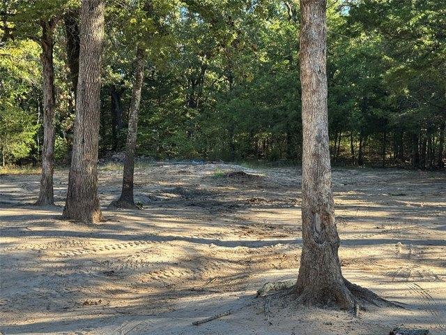 Land for sale in Wills Point, Van Zandt County