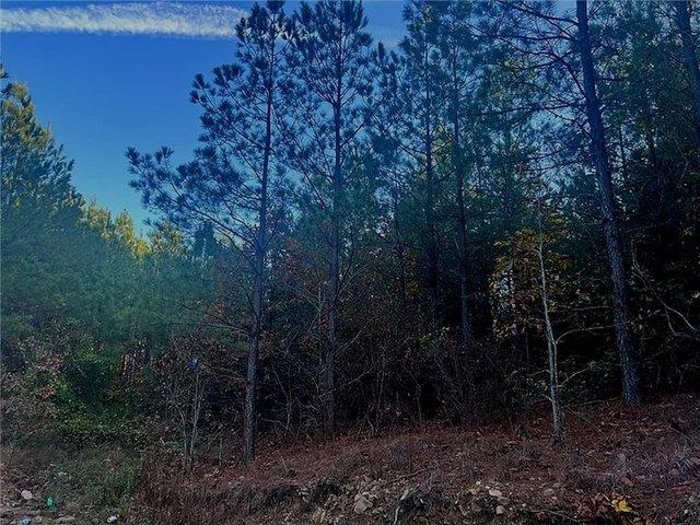 Land for sale in Broken Bow, Oklahoma