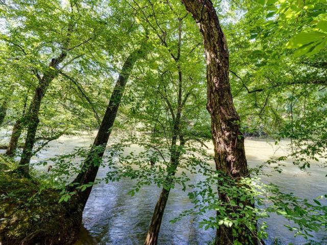 Land for sale in Benton, East Tennessee