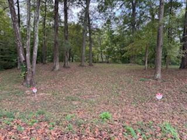 Land for sale in Tennessee