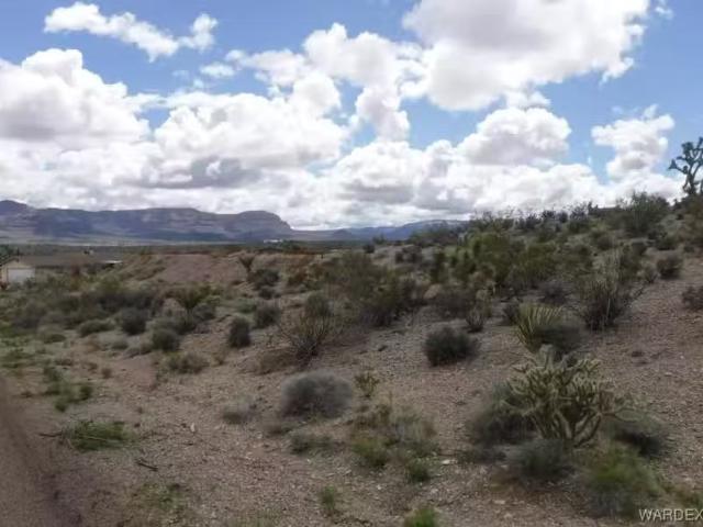 House for rent in Meadview, Arizona