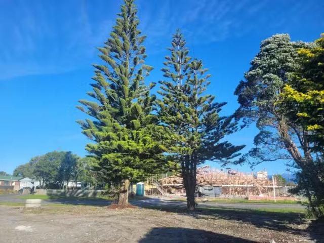 House for sale in Hokitika, West Coast