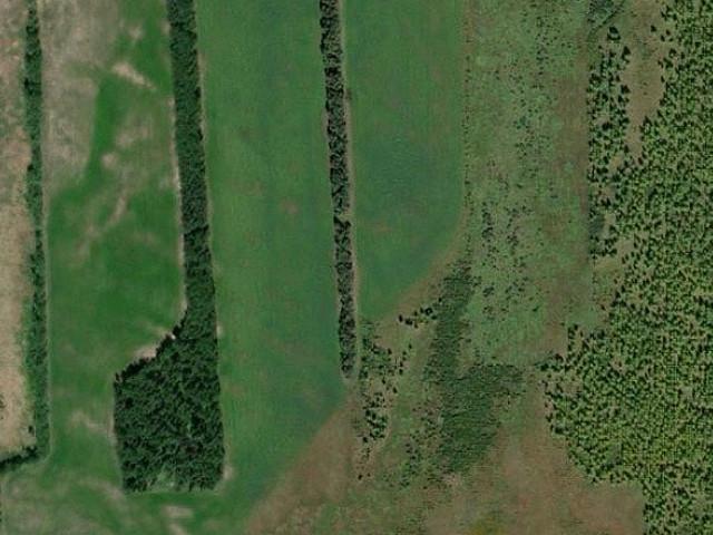 Land for sale in Wedgewood, Alberta