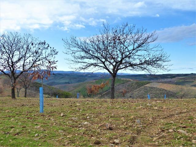 Terreno venda em Bragança