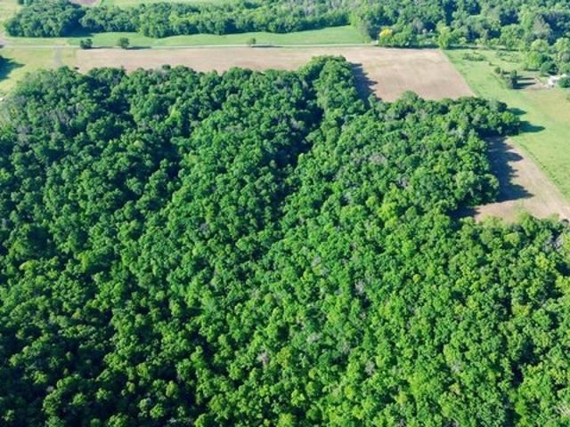 Land for sale in Wisconsin