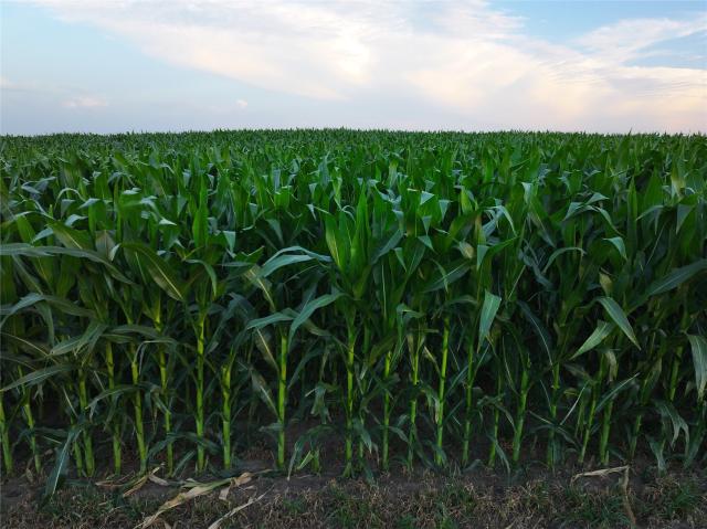 Land for sale in Guthrie, Iowa