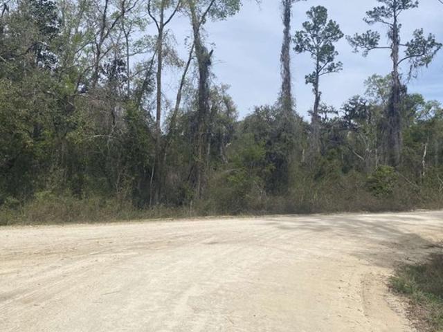 Land for sale in Suwannee, Florida