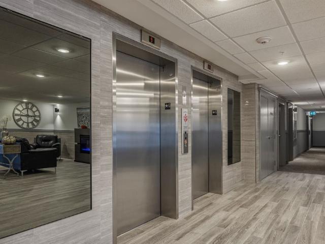 Apartment for rent in Kingston, Ontario