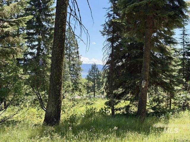 Land for sale in Donnelly, Idaho