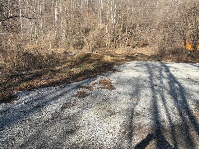 Land for sale in Kentucky