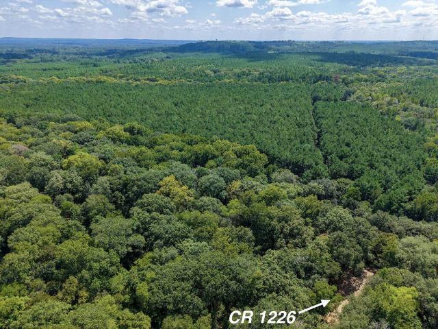 Land for sale in Grapeland, Houston County