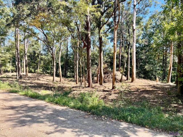Land for sale in Greenwell Springs, Louisiana