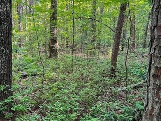 Land for sale in Virginia