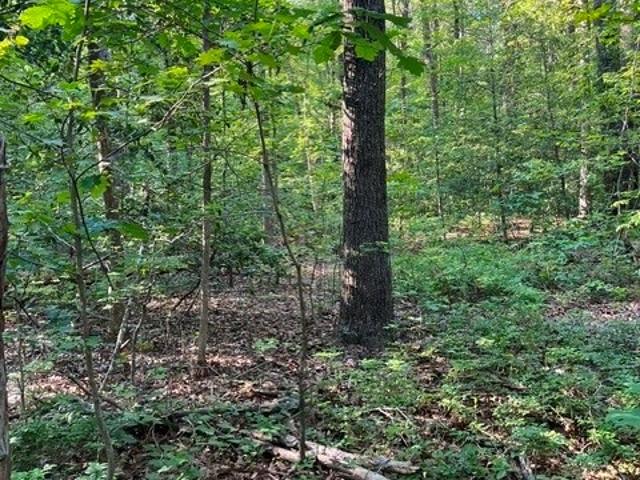 Land for sale in Virginia